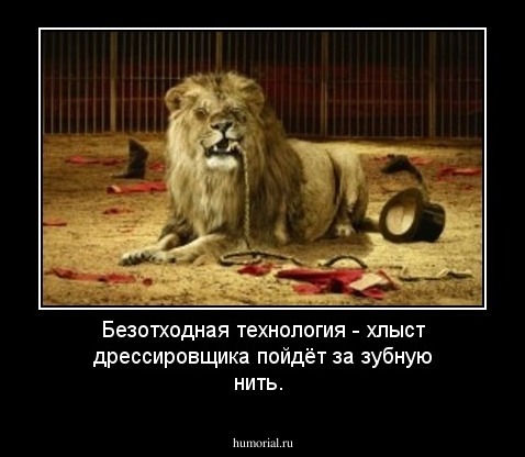 Безотходная технология - хлыст дрессировщика пойдёт за зубную нить.