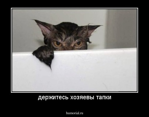 держитесь хозяевы тапки