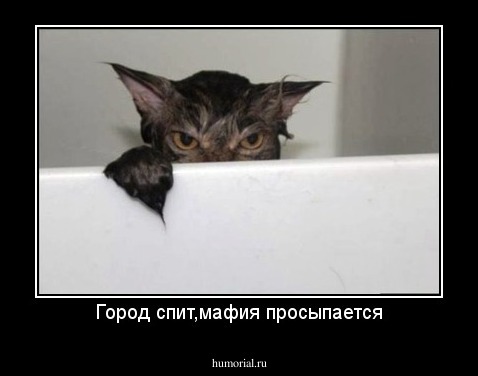 Город спит,мафия просыпается