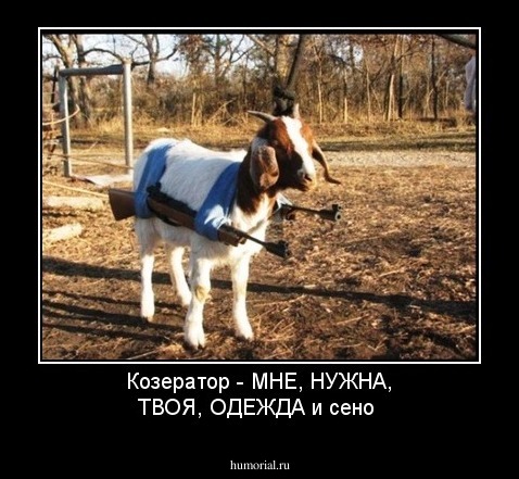 Козератор - МНЕ, НУЖНА, ТВОЯ, ОДЕЖДА и сено