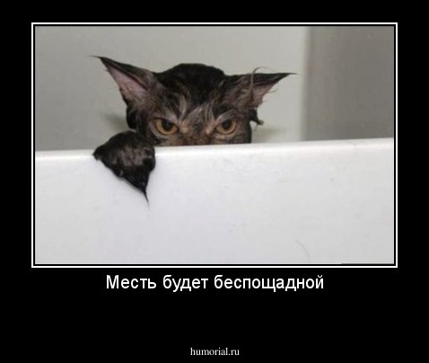 Месть будет беспощадной
