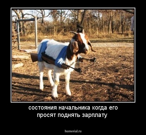 состояния начальника когда его просят поднять зарплату