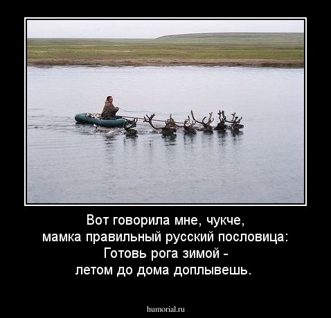 Вот говорила мне, чукче, мамка правильный русский пословица: Готовь рога зимой - летом до дома доплывешь.