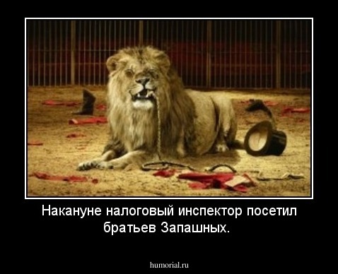 Накануне налоговый инспектор посетил братьев Запашных.