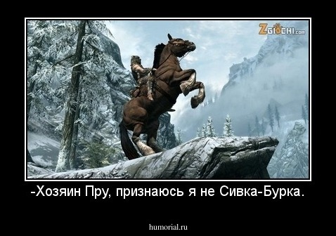 -Хозяин Пру, признаюсь я не Сивка-Бурка.