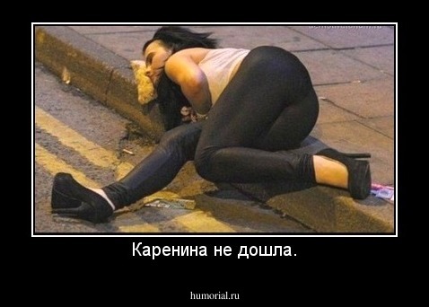 Каренина не дошла.