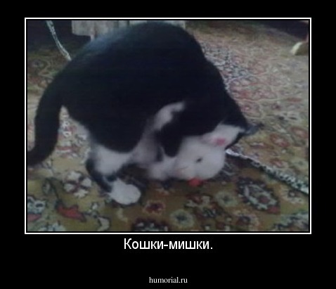 Кошки-мишки.