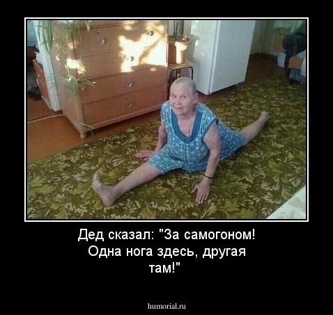 Дед сказал: "За самогоном! Одна нога здесь,  другая там!"