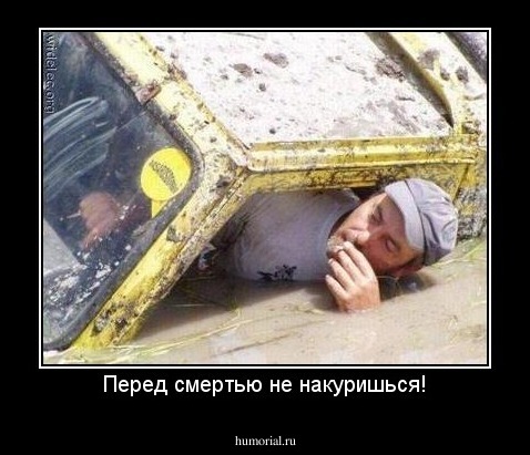 Перед смертью не накуришься!