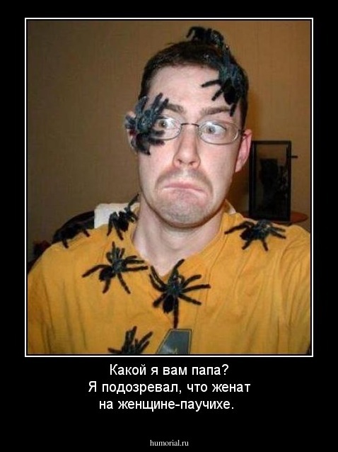 Какой я вам папа? Я подозревал, что женат на женщине-паучихе.