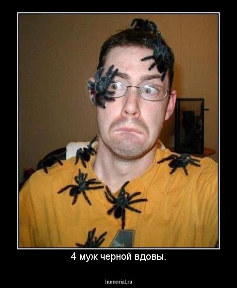 4 муж черной вдовы.