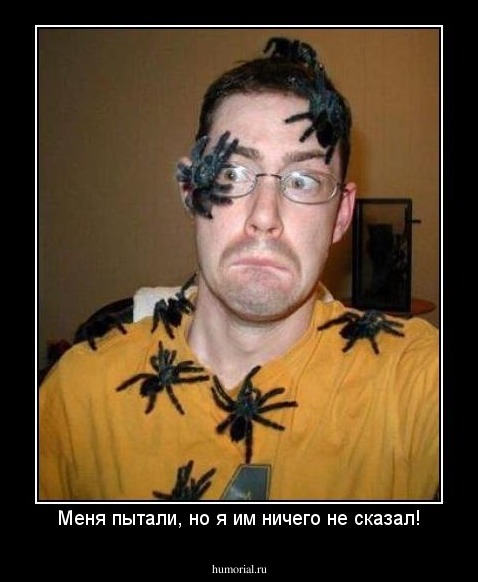 Меня пытали, но я им ничего не сказал!