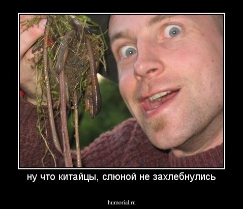 ну что китайцы, слюной не захлебнулись
