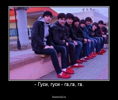 - Гуси, гуси - га,га, га.