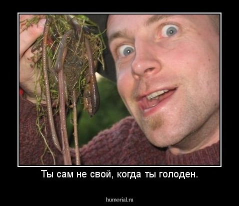 Ты сам не свой, когда ты голоден.