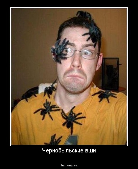 Чернобыльские вши