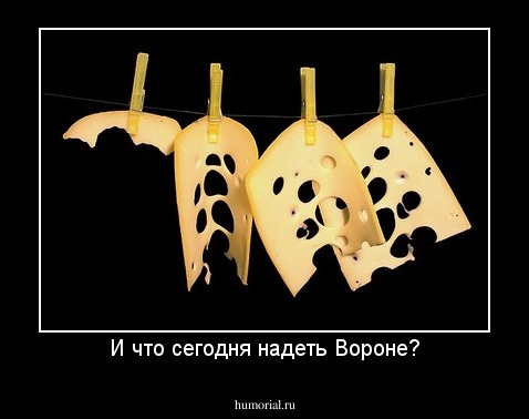 И что сегодня надеть Вороне?