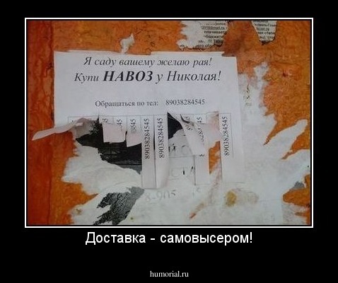 Доставка - самовысером!