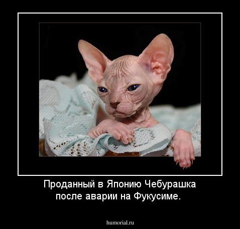 Проданный в Японию Чебурашка после аварии на Фукусиме.