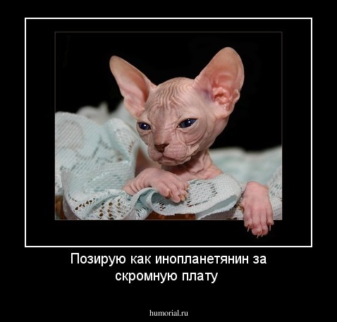 Позирую как инопланетянин за скромную плату