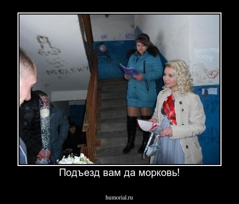 Подъезд вам да морковь!