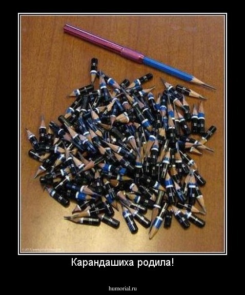 Карандашиха родила!