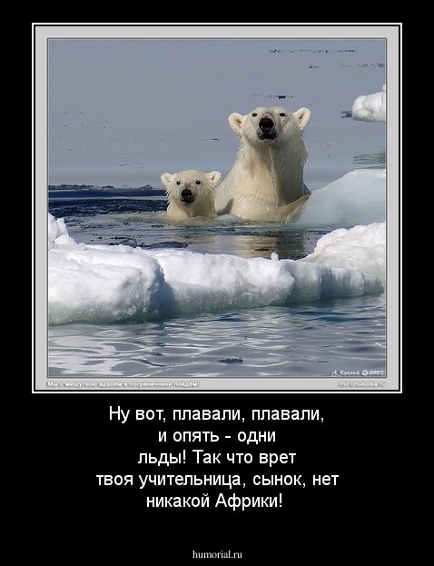 Ну вот, плавали, плавали, и опять - одни льды! Так что врет твоя учительница, сынок, нет никакой Африки!