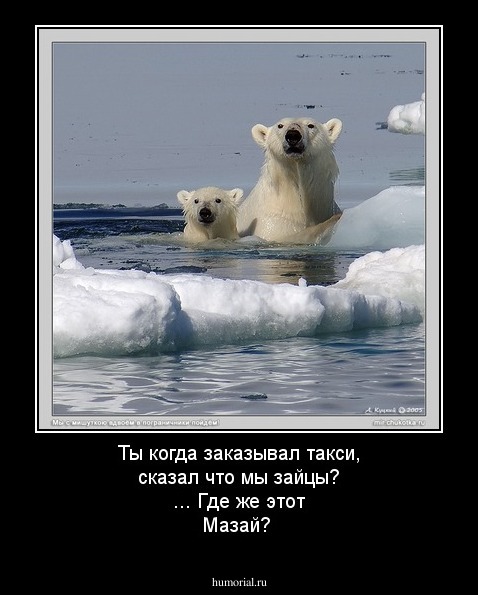 Ты когда заказывал такси, сказал что мы зайцы? ... Где же этот Мазай?