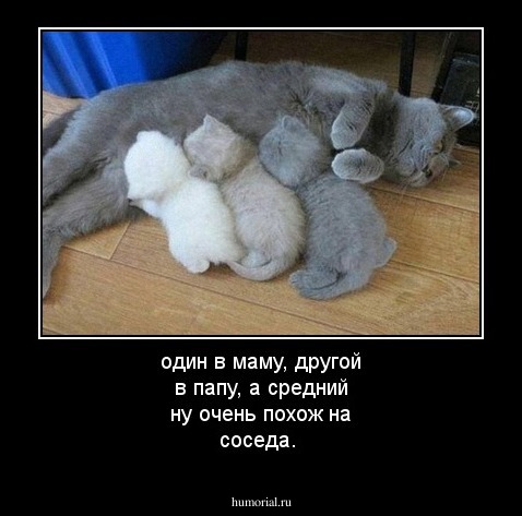один в маму, другой в папу, а средний ну очень похож на соседа.
