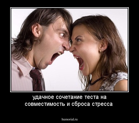 удачное сочетание теста на совместимость и сброса стресса