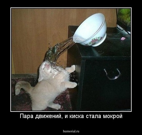 Пара движений, и киска стала мокрой
