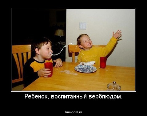 Ребенок, воспитанный верблюдом.