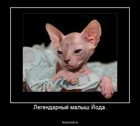 Легендарный малыш Йода.