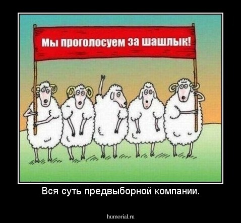 Вся суть предвыборной компании.