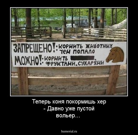 Теперь коня покормишь хер -
Давно уже пустой вольер...