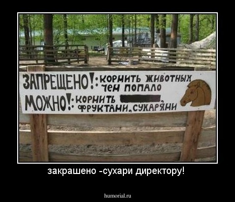 закрашено -сухари директору! 