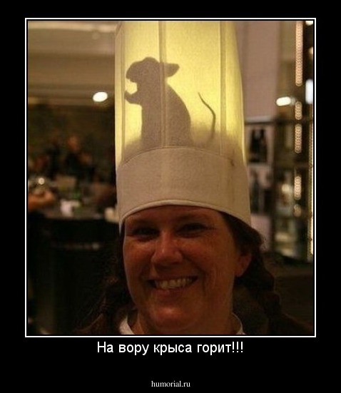 На вору крыса горит!!!