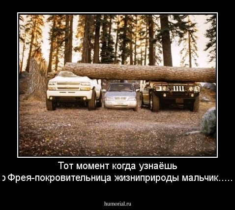 Тот момент когда узнаёшь что Фрея-покровительница жизни\природы мальчик........