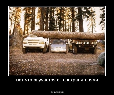 вот что случается с телохранителями
