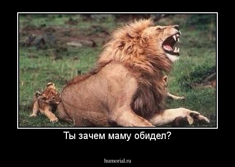 Ты зачем маму обидел?