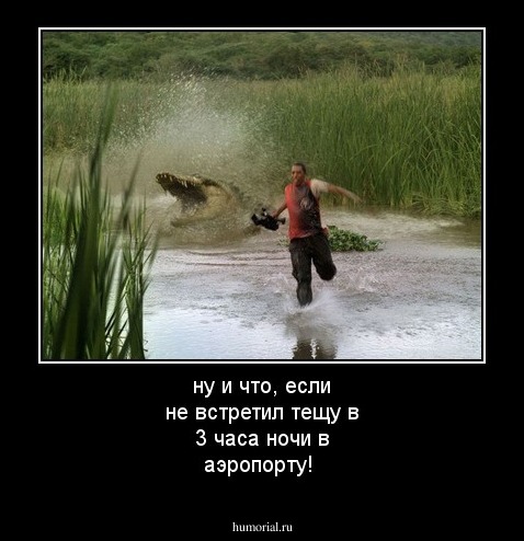 ну и что, если не встретил тещу в 3 часа ночи в аэропорту!