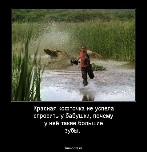 Красная кофточка не успела спросить у бабушки, почему у неё такие большие зубы.