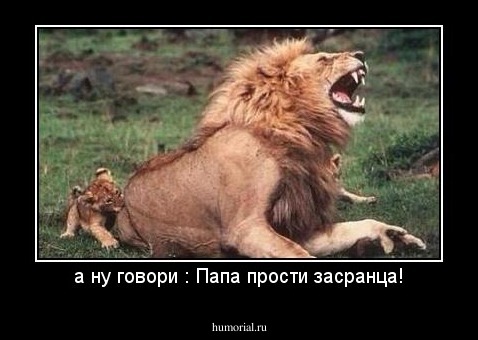 а ну говори : Папа прости засранца!