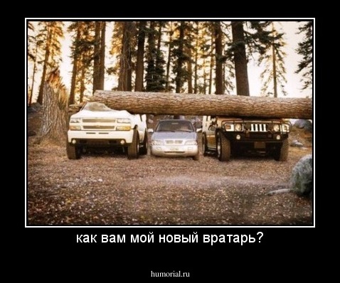 как вам мой новый вратарь?