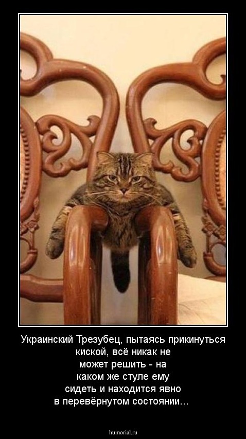 Украинский Трезубец, пытаясь прикинуться киской, всё никак не может решить - на каком же стуле ему сидеть и находится явно в перевёрнутом состоянии...