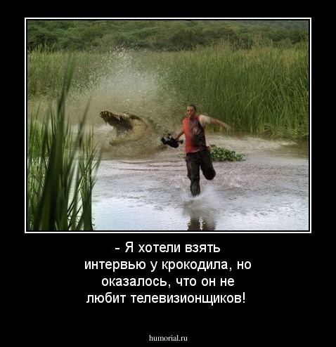 - Я хотели взять интервью у крокодила, но оказалось, что он не любит телевизионщиков!