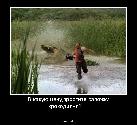 В какую цену,простите сапожки крокодильи?...