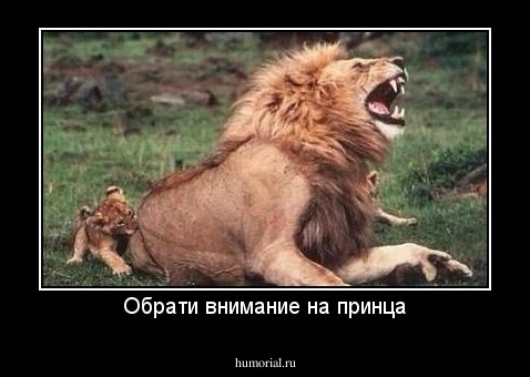 Обрати внимание на принца