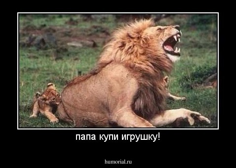 папа купи игрушку!