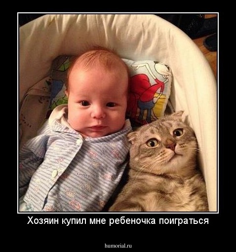 Хозяин купил мне ребеночка поиграться
